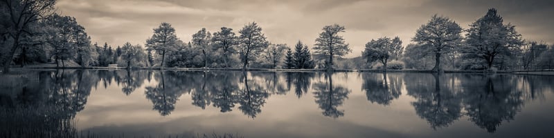 Lakeside Strolls